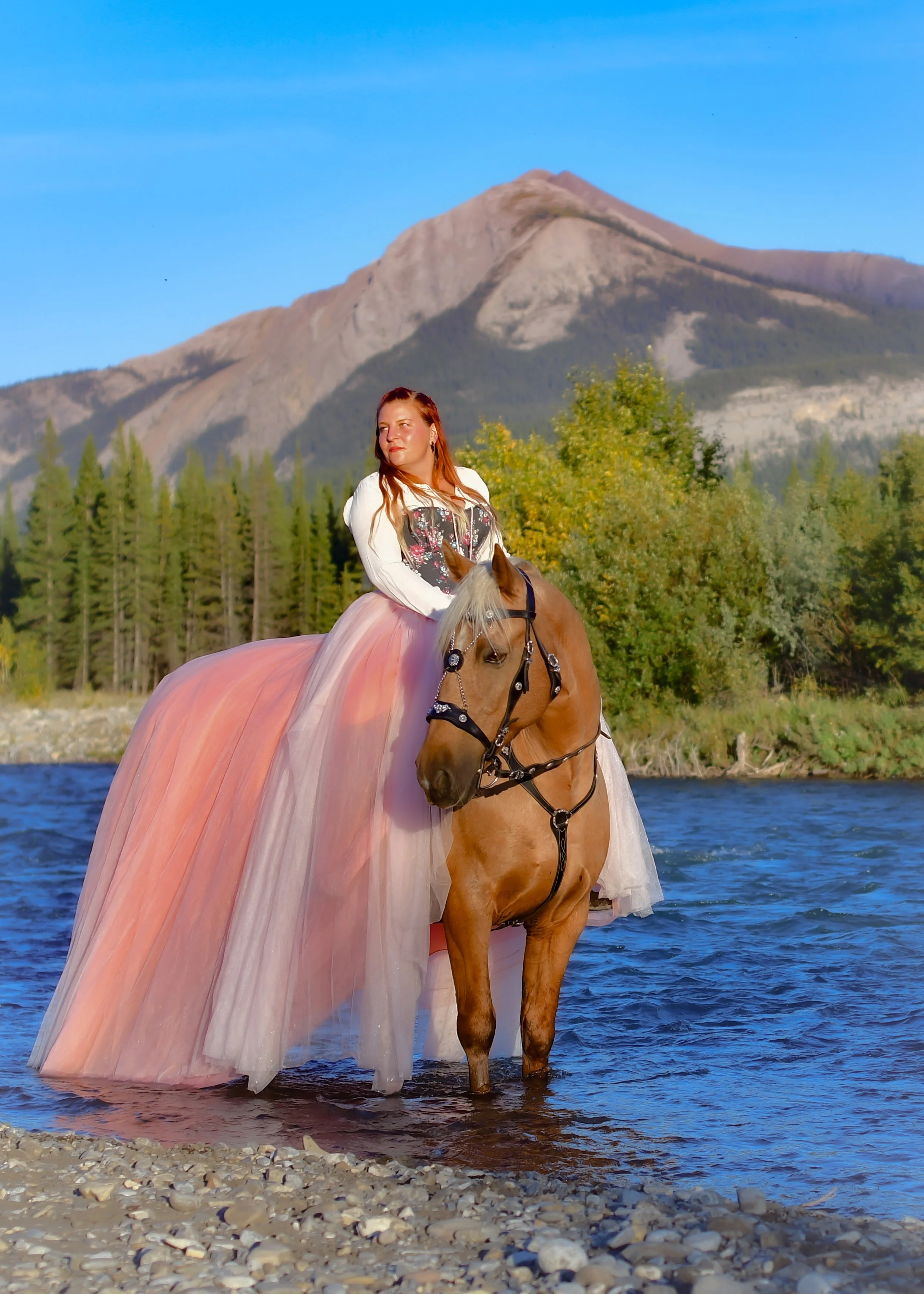 Photography on Horseback