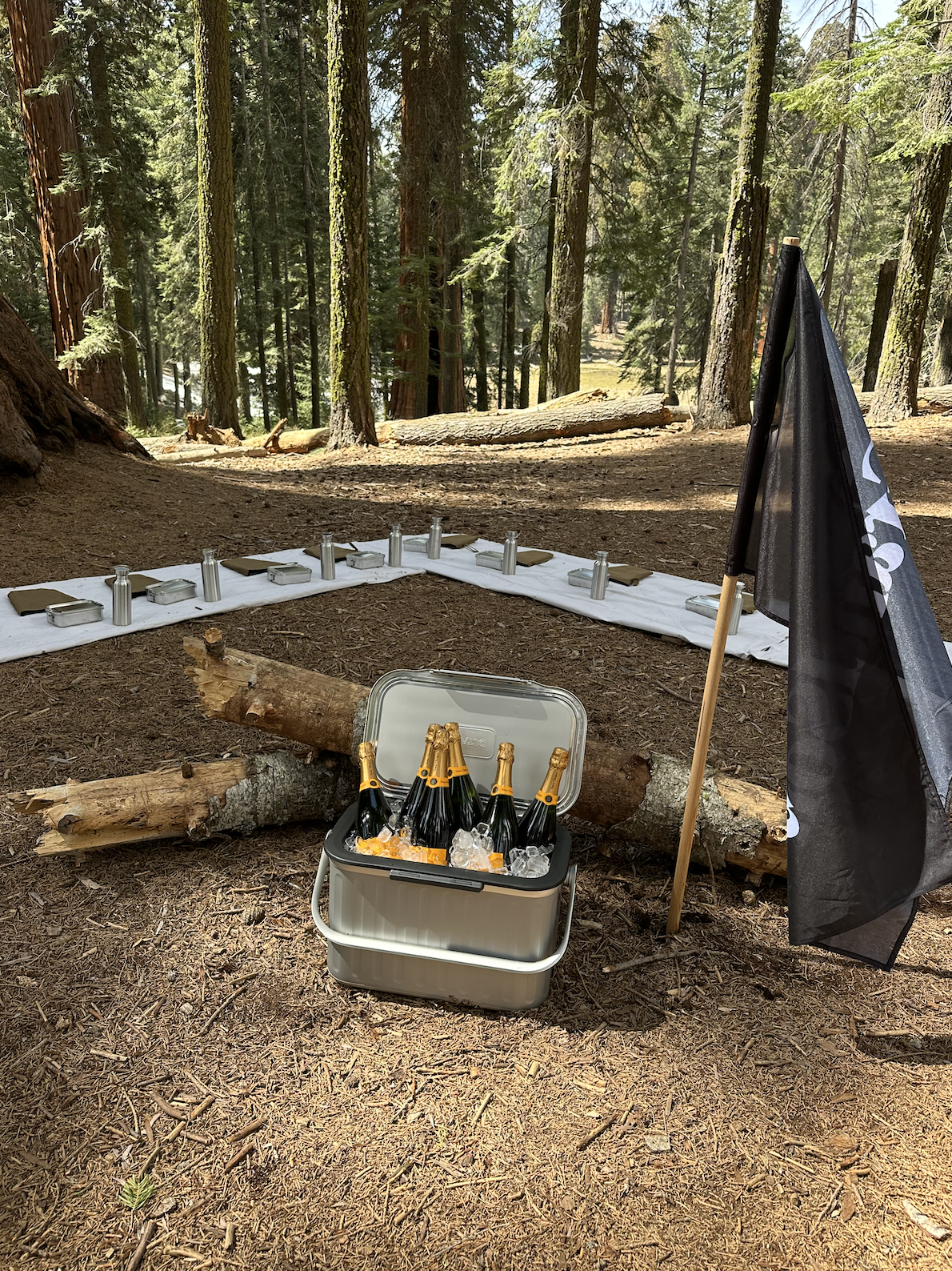 Screen Shot 2026-03-23 at 8.57.05 PM.png