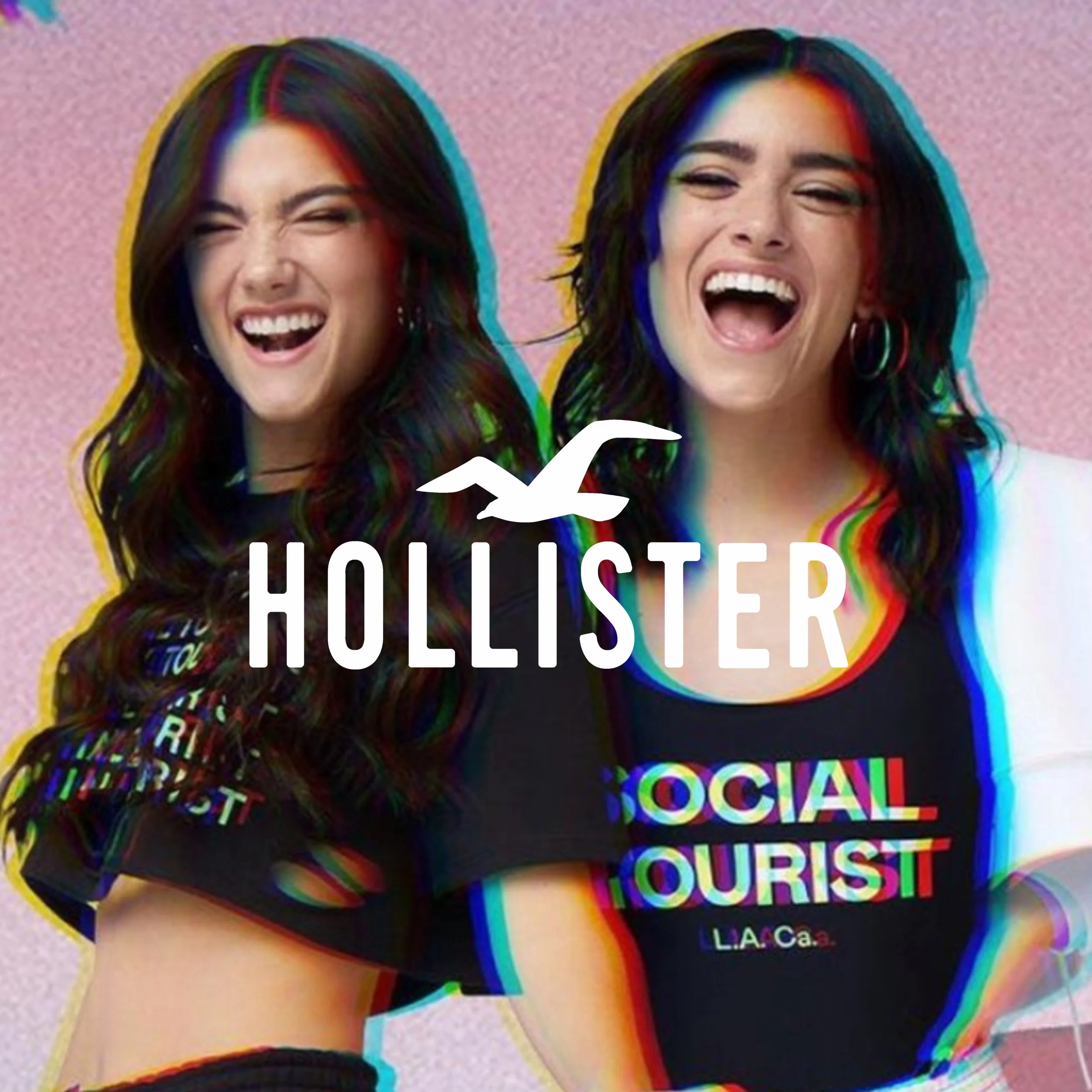 hollister social tourist