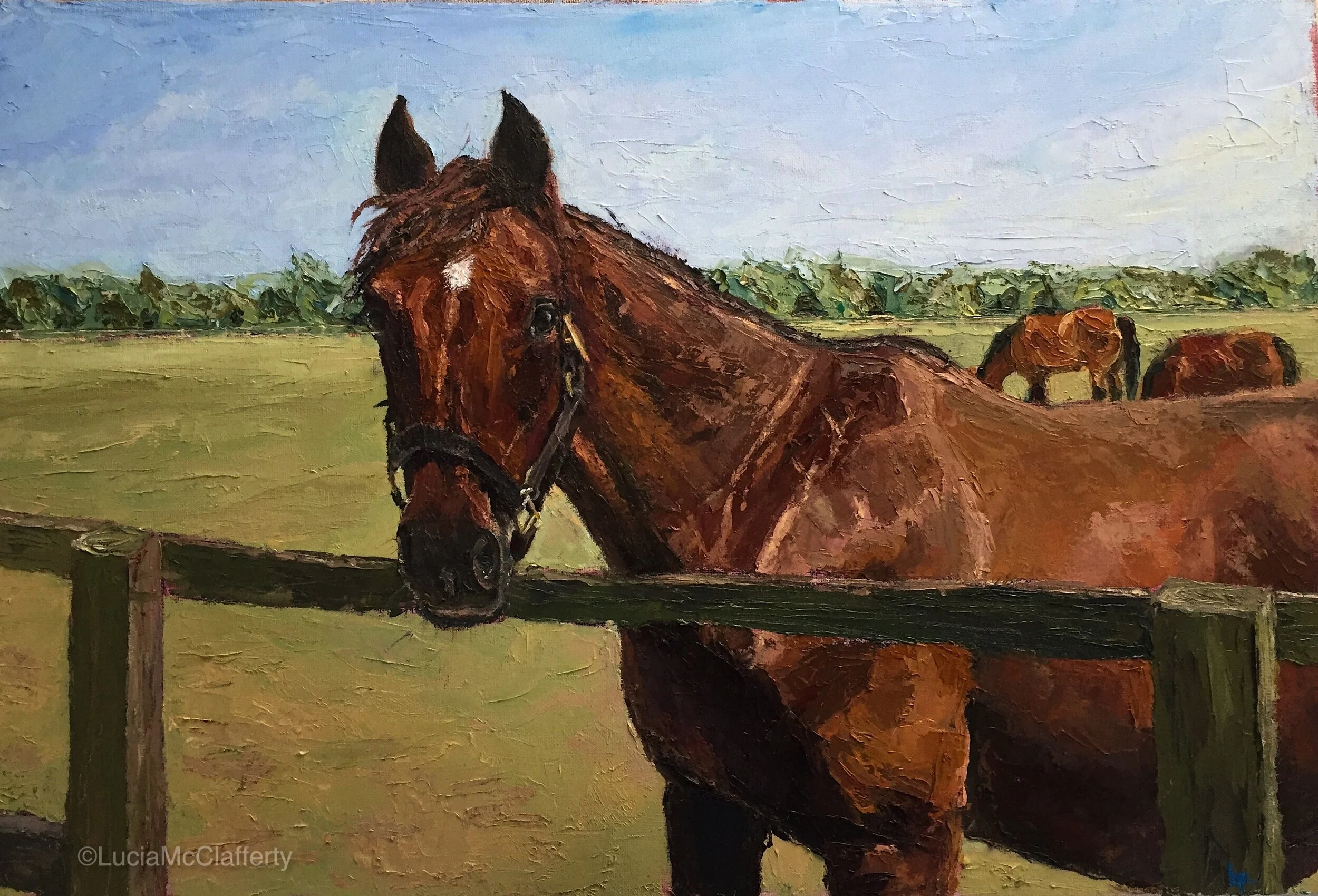 commission - private collection