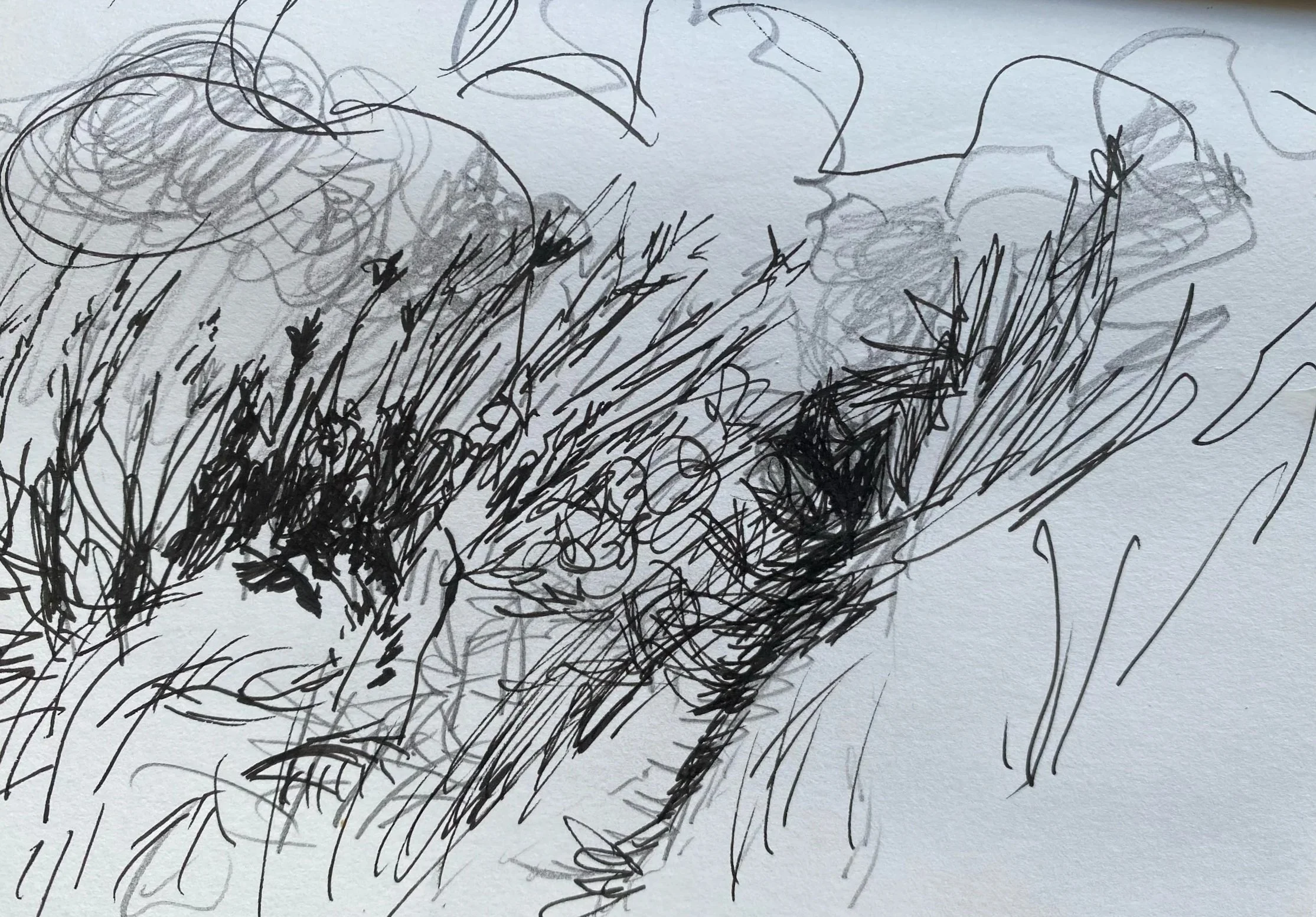 C6665D92-A29D-4397-81FD-43ECC09DC135.jpg