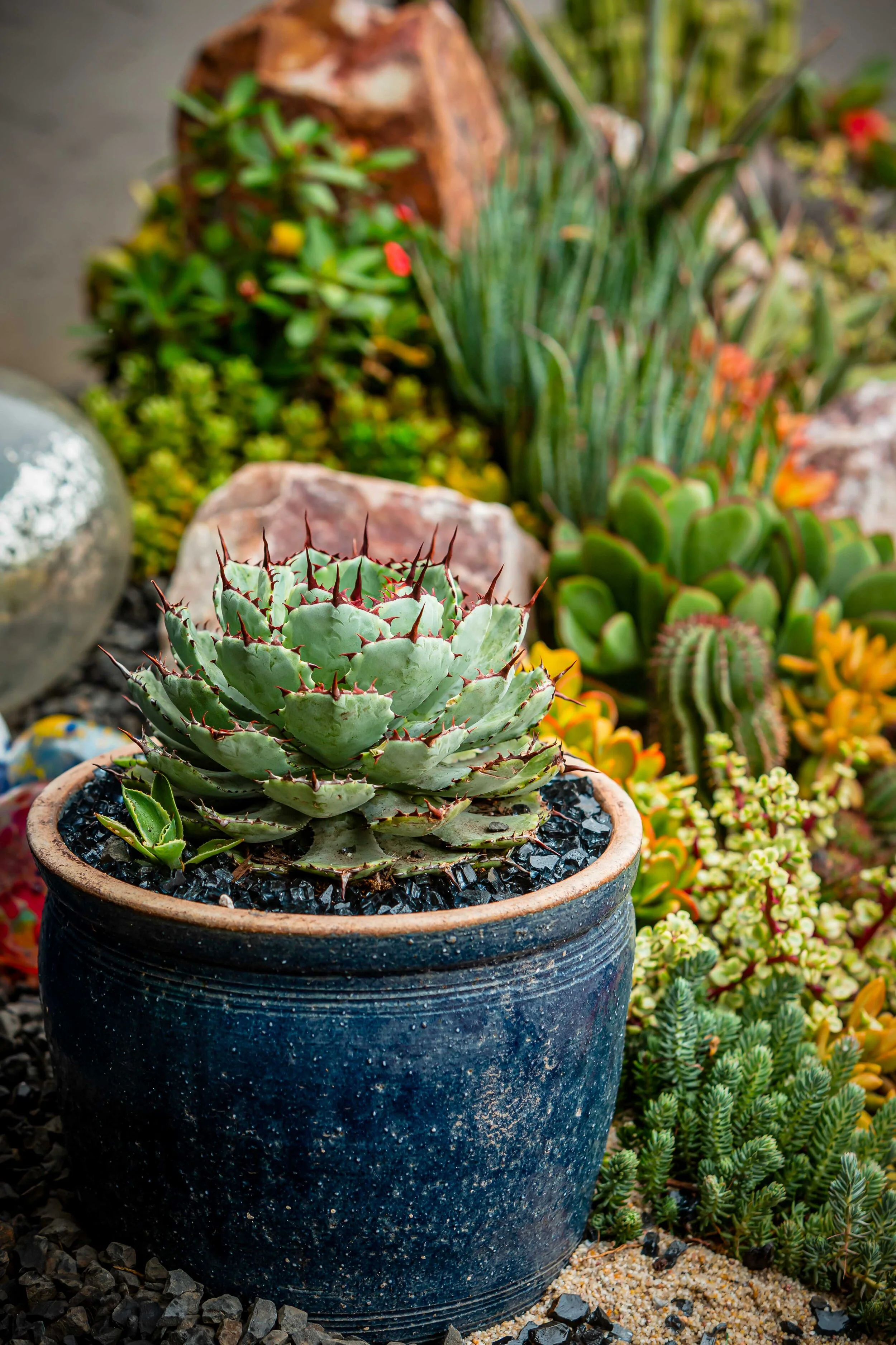 Pacific Beach — Laura Eubanks