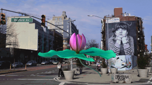 Breathing Lotus AR