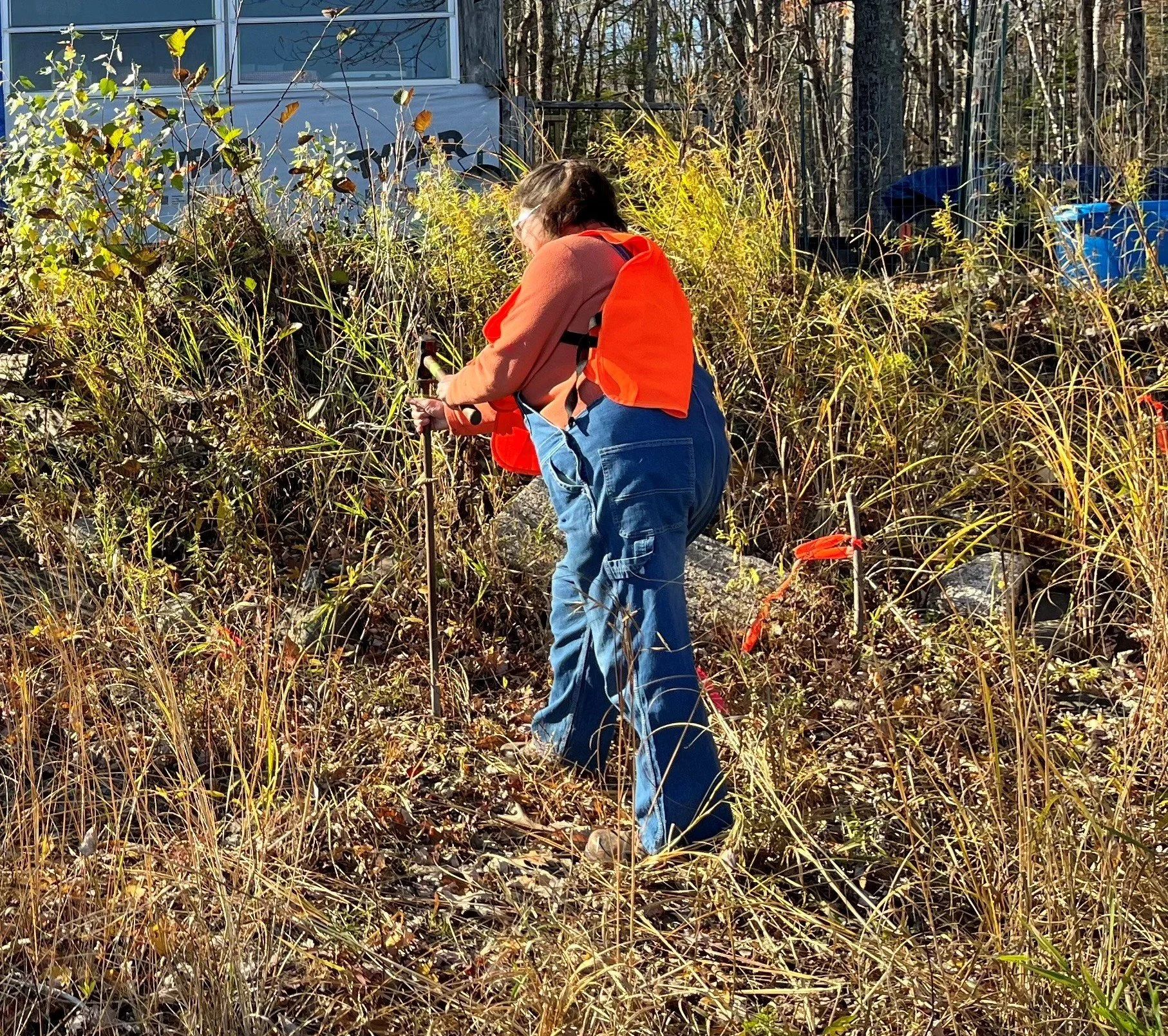 Val installing live stakes at Hohn's 10-28-25.jpg