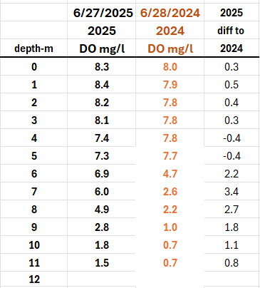 A table comparing dissolved oxygen levels at different depths between June 28, 2024, and June 27, 2025, showing values in mg/L and differences.