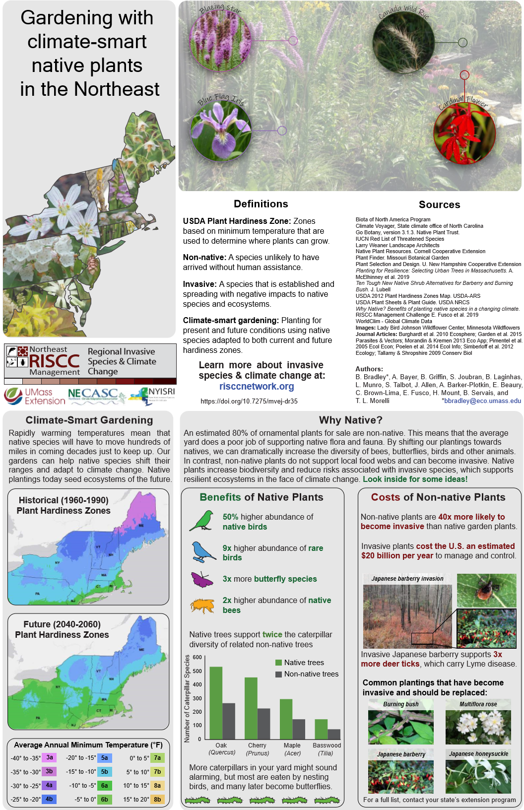 Infographic about climate-smart native plant gardening in the Northeast, including maps of plant hardiness zones, benefits of native plants, costs of non-native plants, and invasive species. Features images of native plants, invasive Japanese barberry, and butterflies.