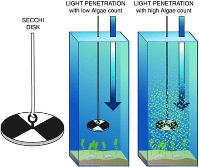 Diagram showing a Secchi disk used to measure water transparency, with side-by-side illustrations of water tanks demonstrating light penetration with low and high algae levels, including submerged objects and algae growth.