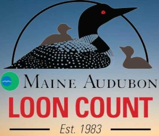 Logo for Maine Audubon Loon Count featuring a loon with two ducks, the Maine Audubon emblem, and the text 'Loon Count Est. 1983'.