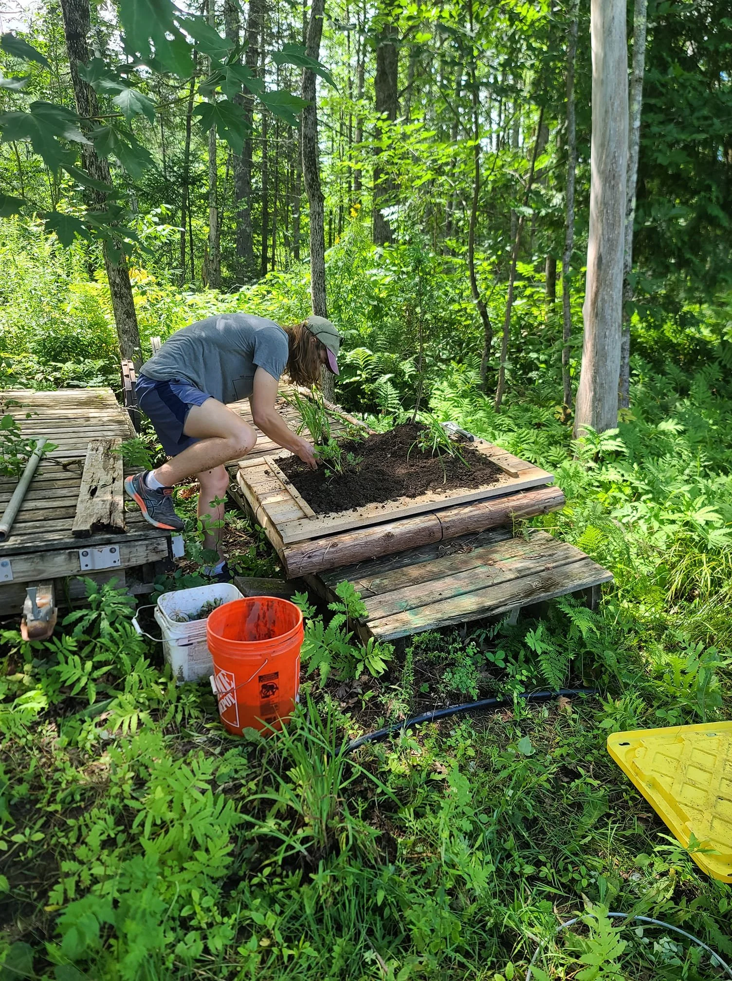 Person gardening on a raised garden bed in a forest with trees and green foliage.