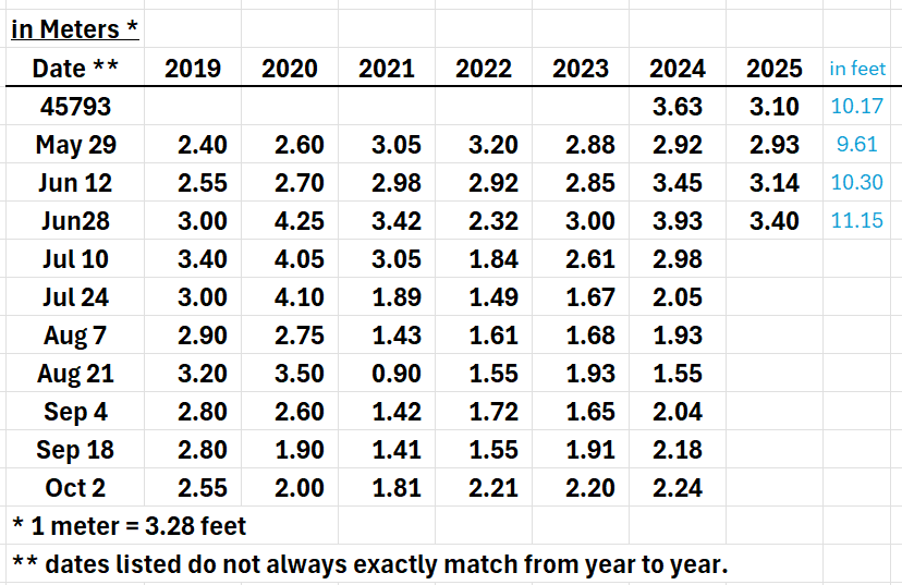 Table showing water levels in meters and feet on various dates from 2019 to 2025, with columns for date, months, years, and conversions to feet.