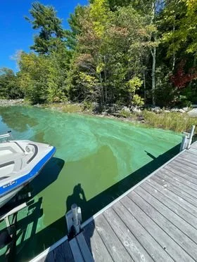 A wooden dock extending into a marina with a small boat on the water, surrounded by lush green trees under a clear blue sky.