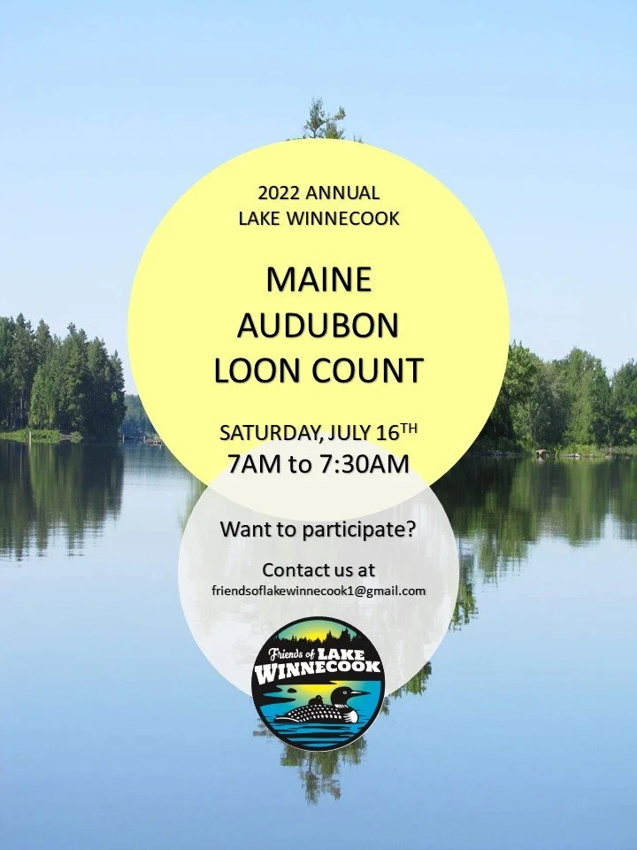 Flyer for the 2022 Annual Lake Winnecoock Audubon Loon Count, scheduled for Saturday, July 16th, from 7:00 to 7:30 AM, with contact email friendsoflakewinnecoock1@gmail.com, featuring a nature scene of a lake and trees reflecting in water.