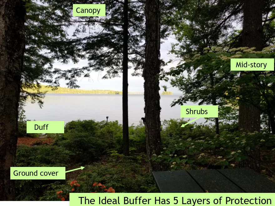 Ideal buffer.jpg