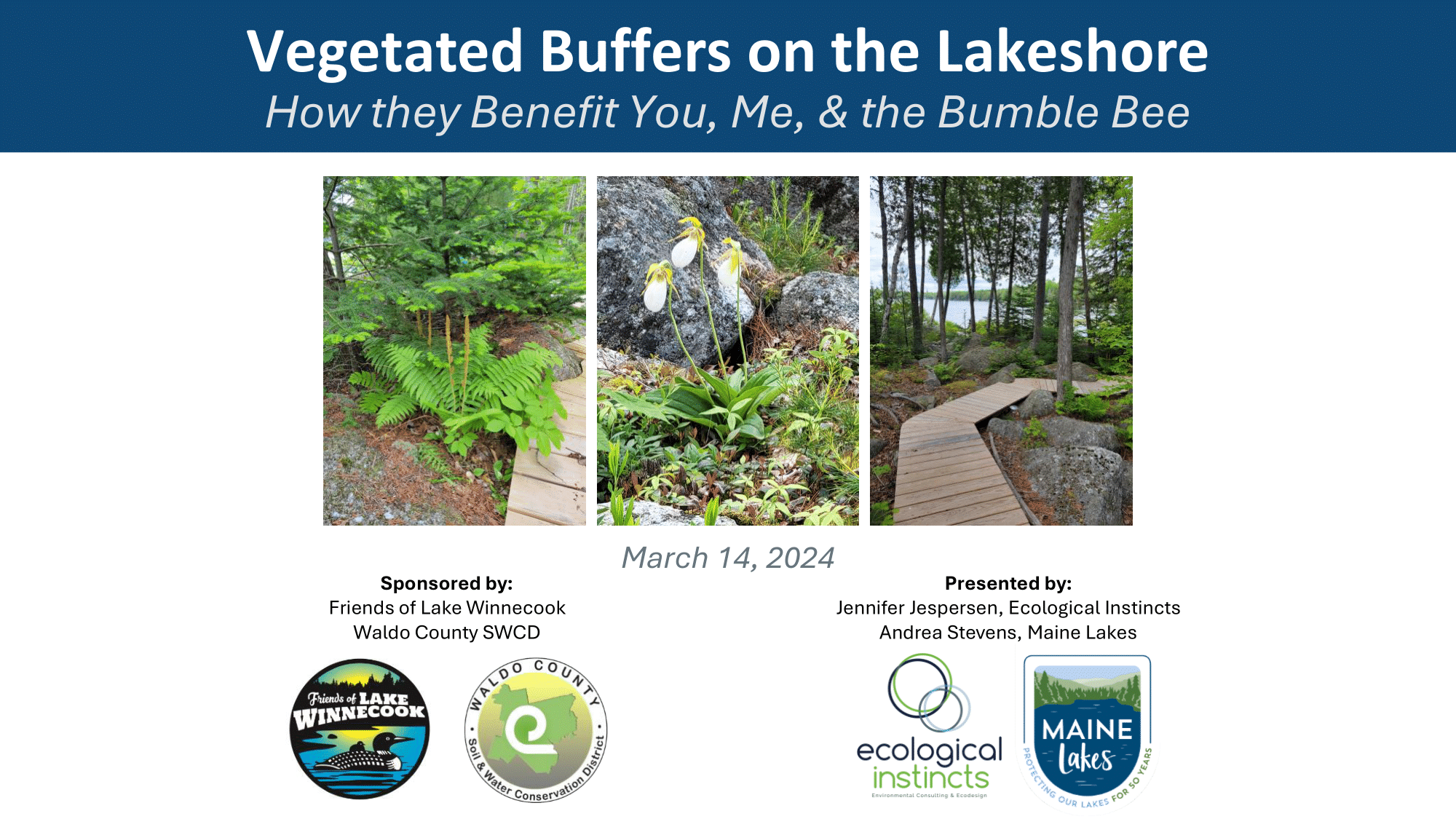 Banner for event titled 'Vegetated Buffers on the Lakeshore: How they Benefit You, Me, & the Bumble Bee', dated March 14, 2024, with three images of vegetated lakeshore buffers, logos of Friends of Lake Winnecoock, Waldo County SWCD, Ecological Instincts, and Maine Lakes.