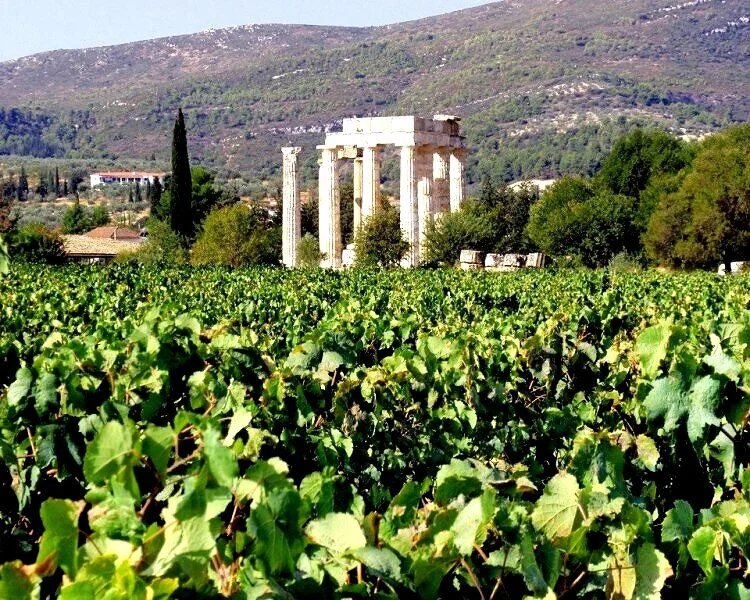 Wine School Greece