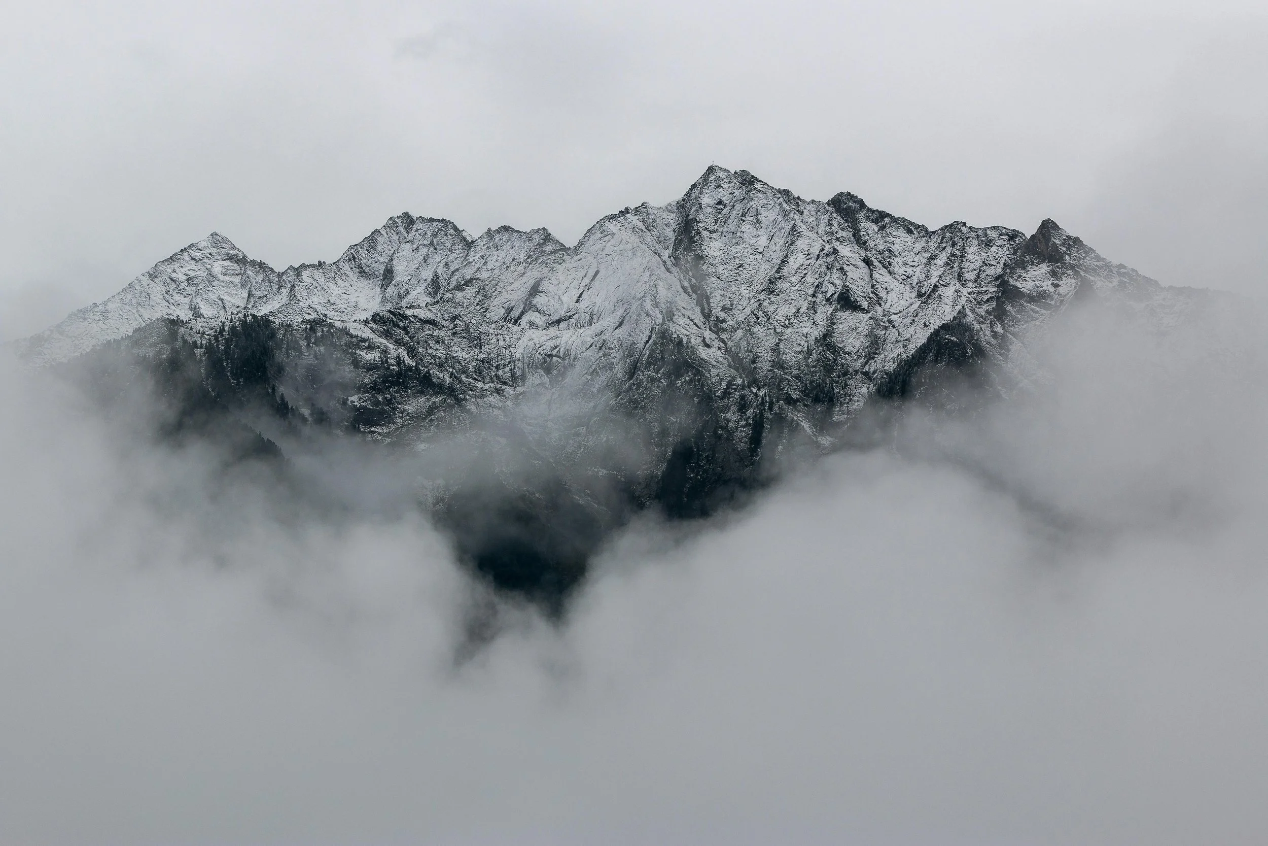 pexels-eberhardgross-691668.jpg