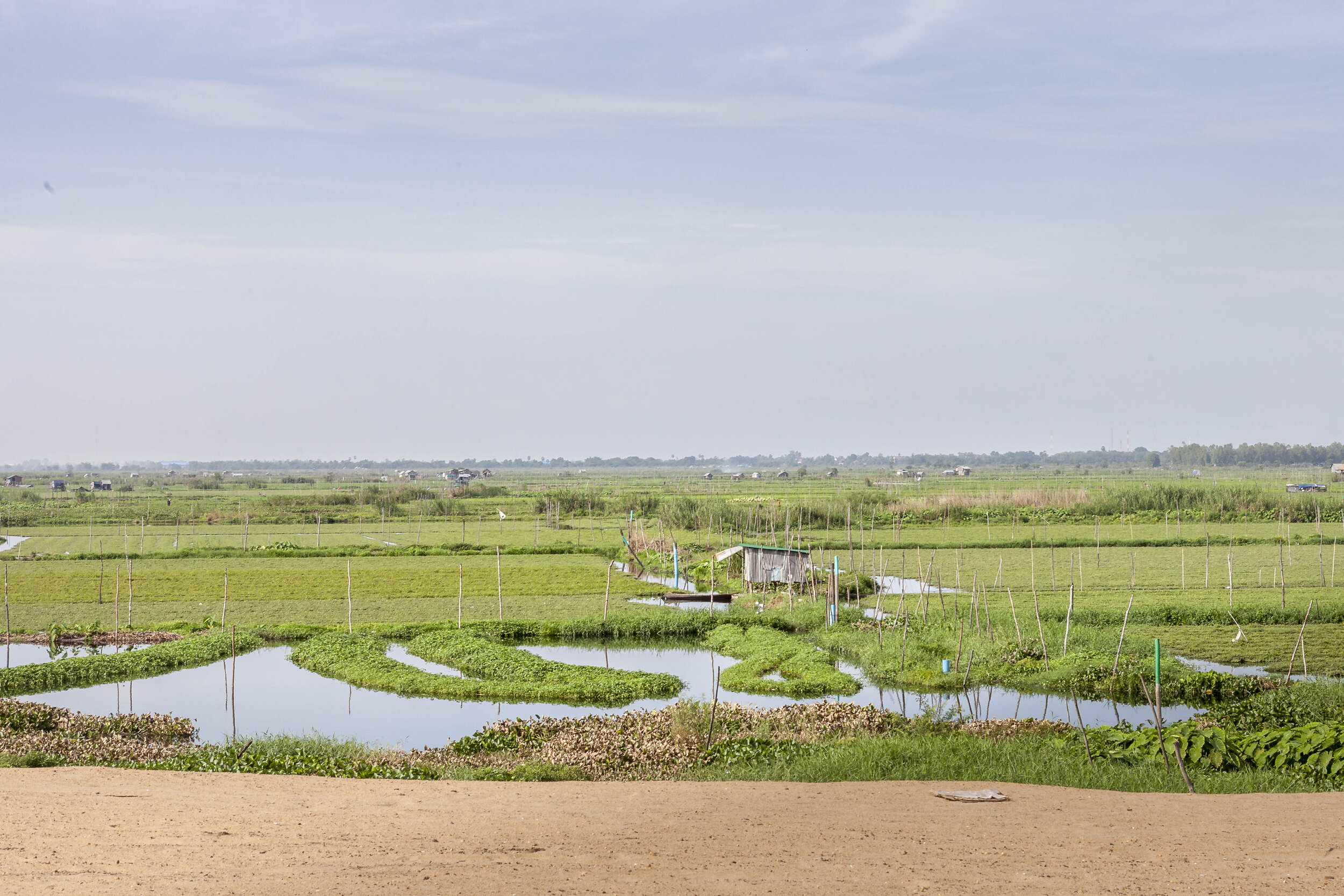  A view across Boeung Tompun from an area newly ‘reclaimed’ by sand-pumping.  