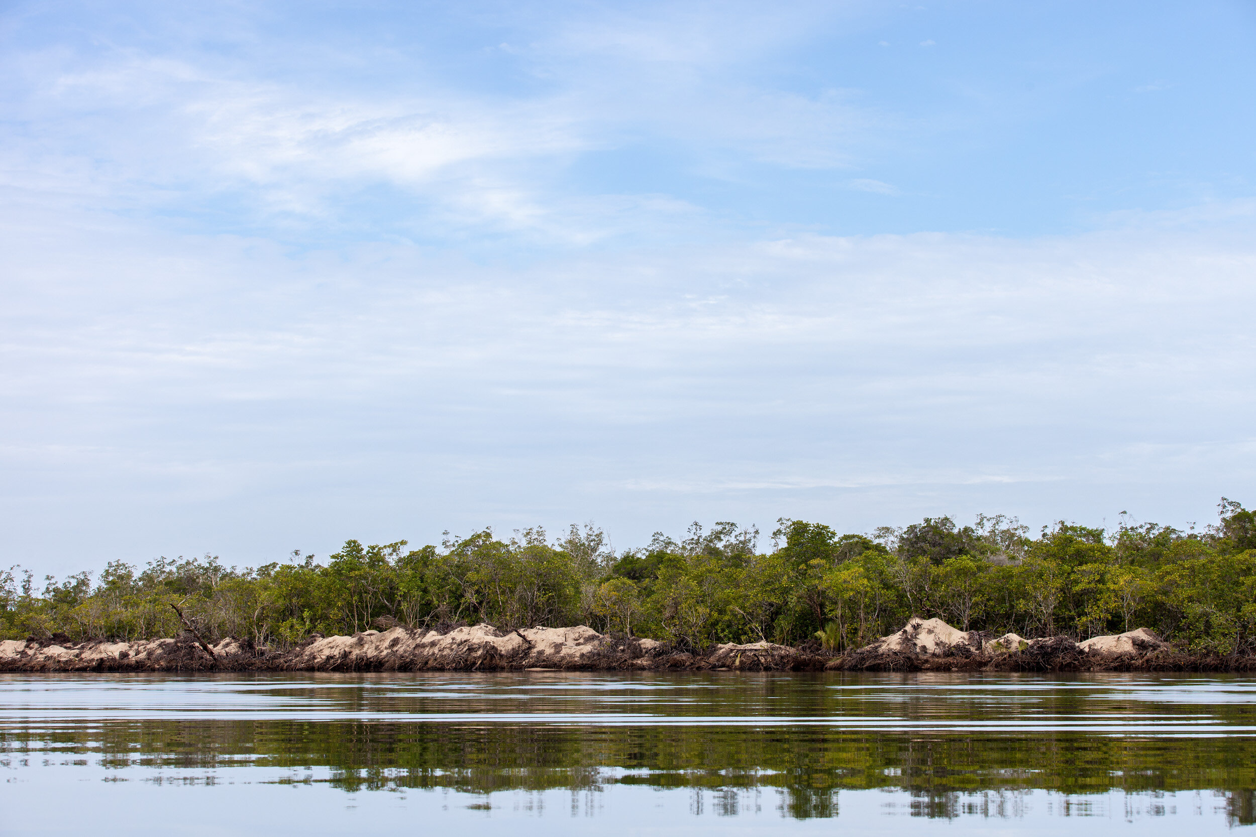  The churned and disturbed banks of the Tatai River estuaries.  