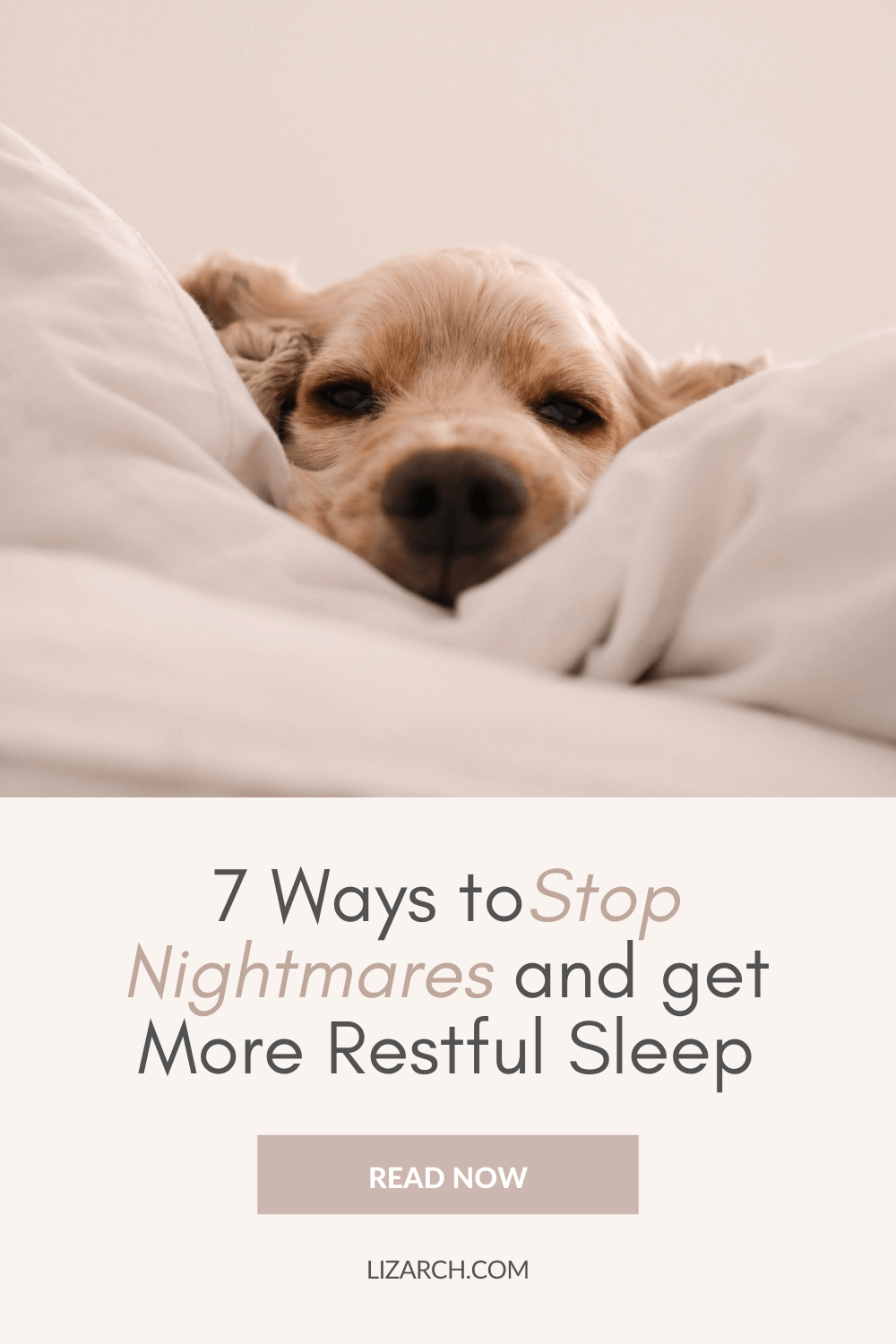 How Do You Stop A Puppy From Having Nightmares