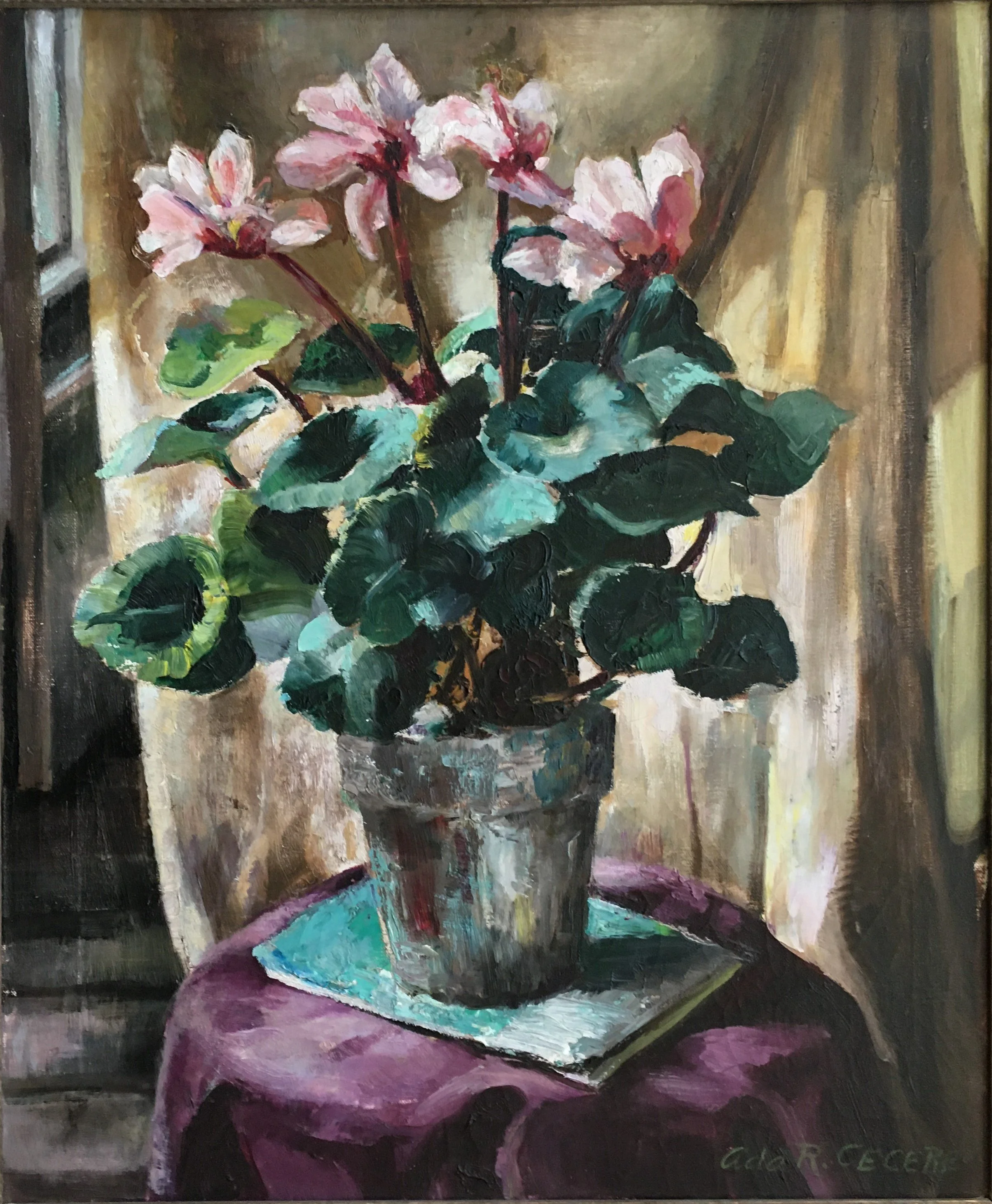 Ada Rasario Cecere:  Cyclamen