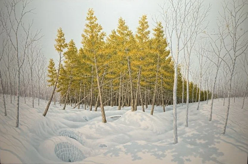 Alan Bray:  Cedar Swamp