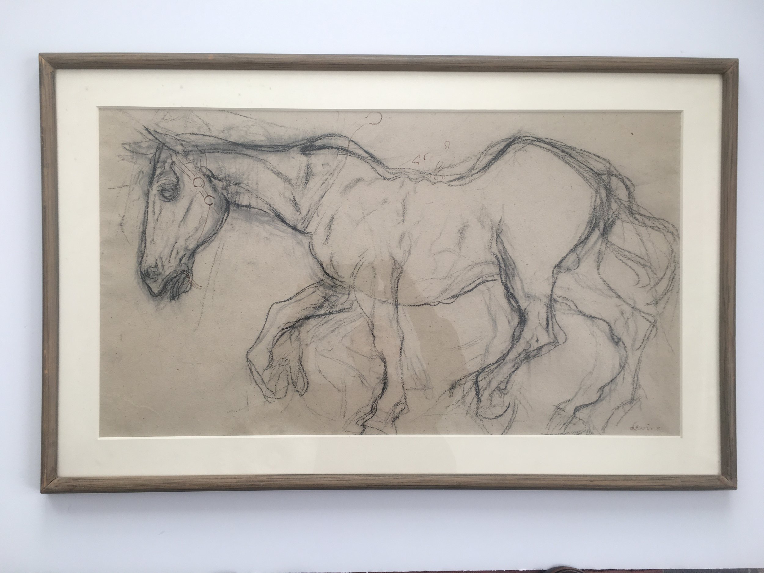 Jack Levine:  Study for 'The White Horse'