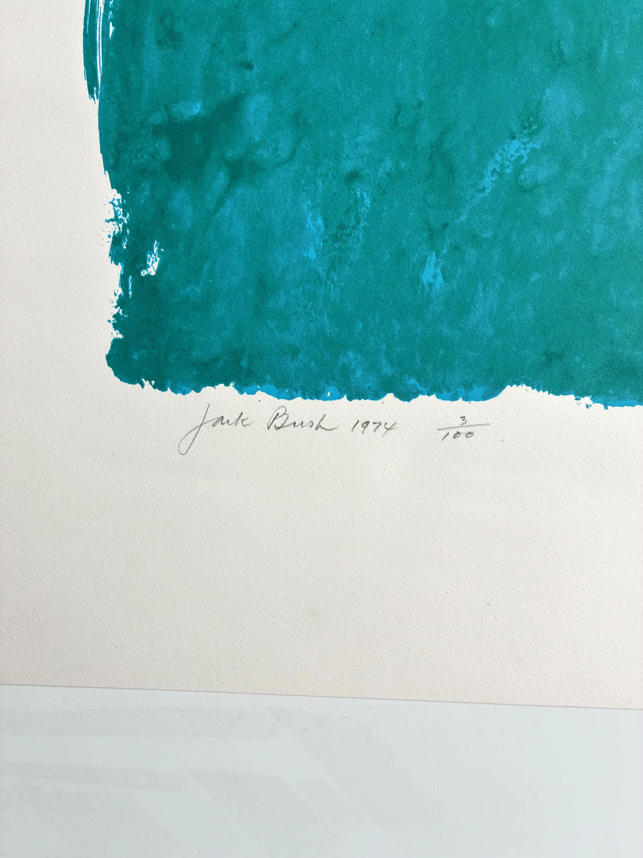 Bush Pink Moon signature +.jpg