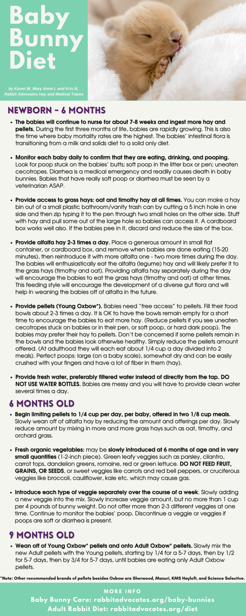 Growth Chart Week Old Rabbit Week Old Not Eating Newborn Baby