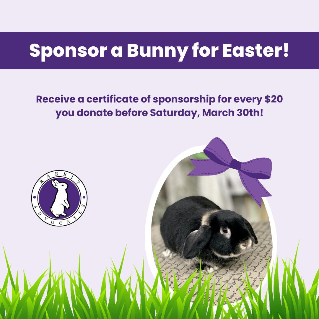 A bunny for Easter is cute, but keep in mind that bunnies are about a 10-year commitment and take more time and effort than people realize. Instead, consider purchasing a bunny sponsorship this Easter--low-effort, low-cost, but can make a big differe