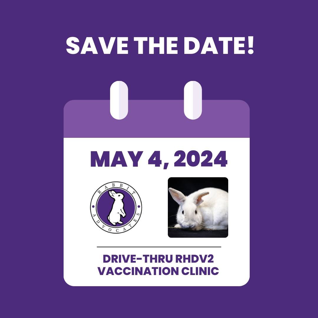 Save the date! The Oregon Spring RHDV2 Vax Clinic is coming up! This is a one-dose &quot;booster&quot; clinic. Oregon bunnies who have previously completed a 2-dose Medgene protocol 9+ months ago are eligible.

RHDV2 is a highly contagious, painful, 