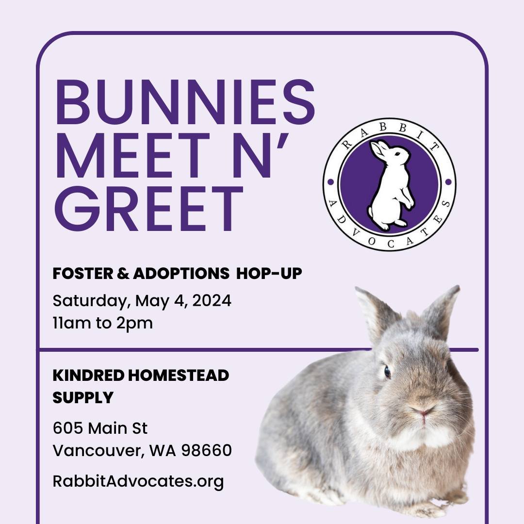 Save the date!

Curious about fostering or adopting a bunny? Hop up to the Kindred Homestead Supply to meet some of the adorable bunnies in the Rabbit Advocates family! Learn more about fostering and adopting with Rabbit Advocates with the Foster + A