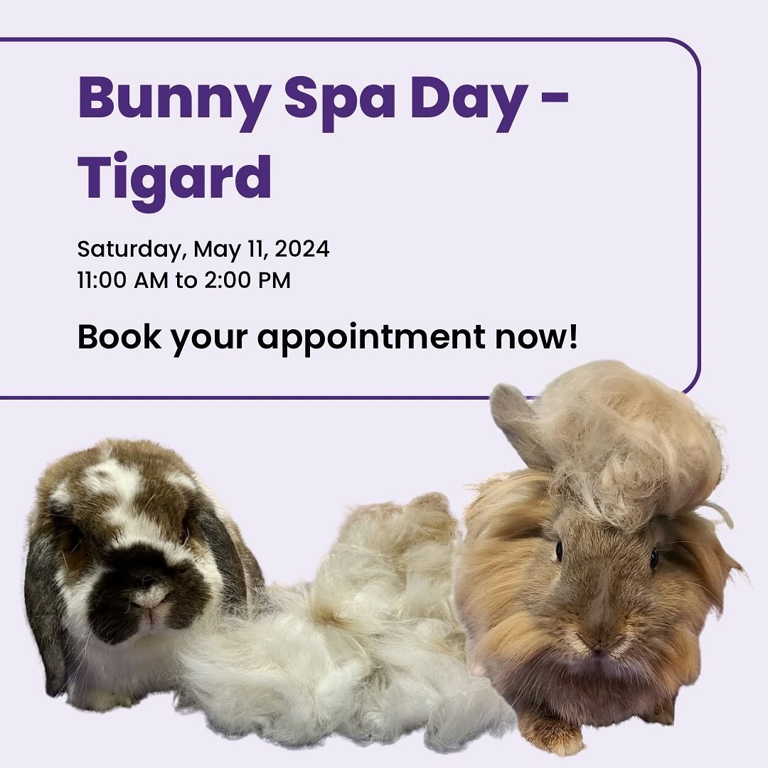 Schedule your bunny for a much-needed spa treatment and let them luxuriate in the experienced hands of our Bunny Spa Day volunteers. Rabbit Advocates will provide low-cost &ldquo;pawdicures&rdquo; (nail trims), &ldquo;hare styling&rdquo; (grooming), 