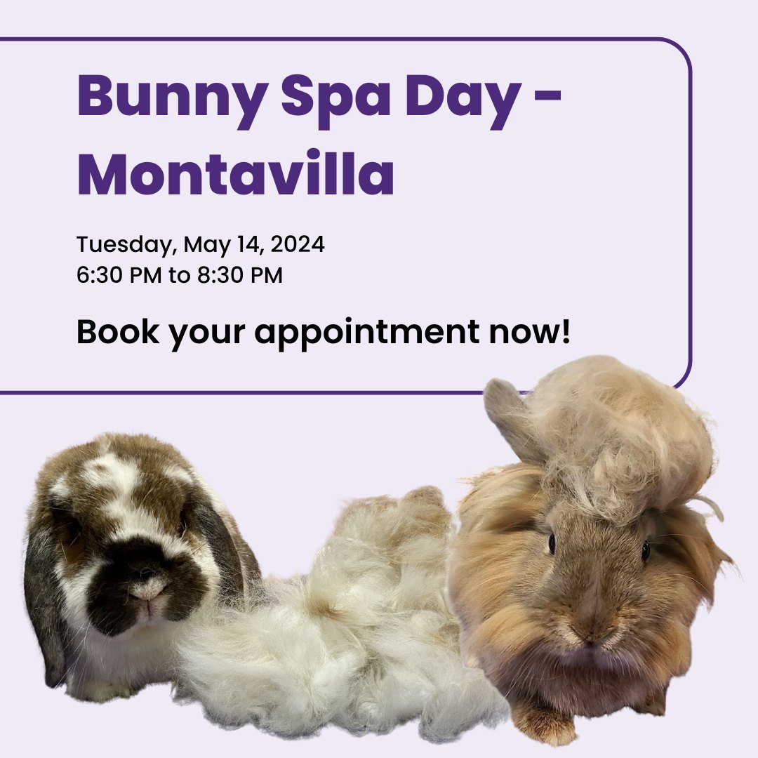 Schedule your bunny for a much-needed spa treatment and let them luxuriate in the experienced hands of our Bunny Spa Day volunteers. Rabbit Advocates will provide low-cost &quot;pawdicures&quot; (nail trims), &quot;hare styling&quot; (grooming), and 