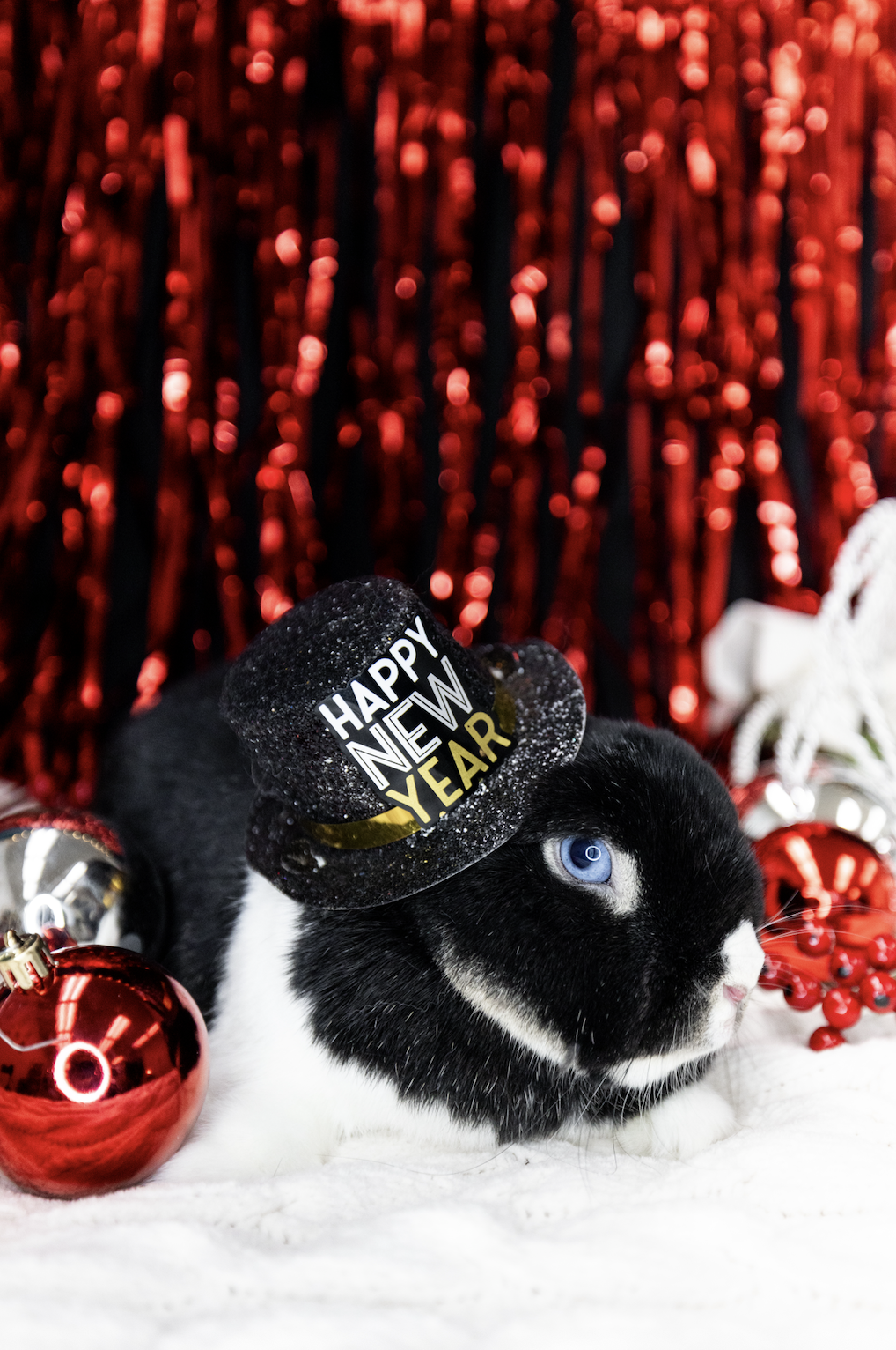 Screenshot 2025-11-22 at 10.52.14 PM.png