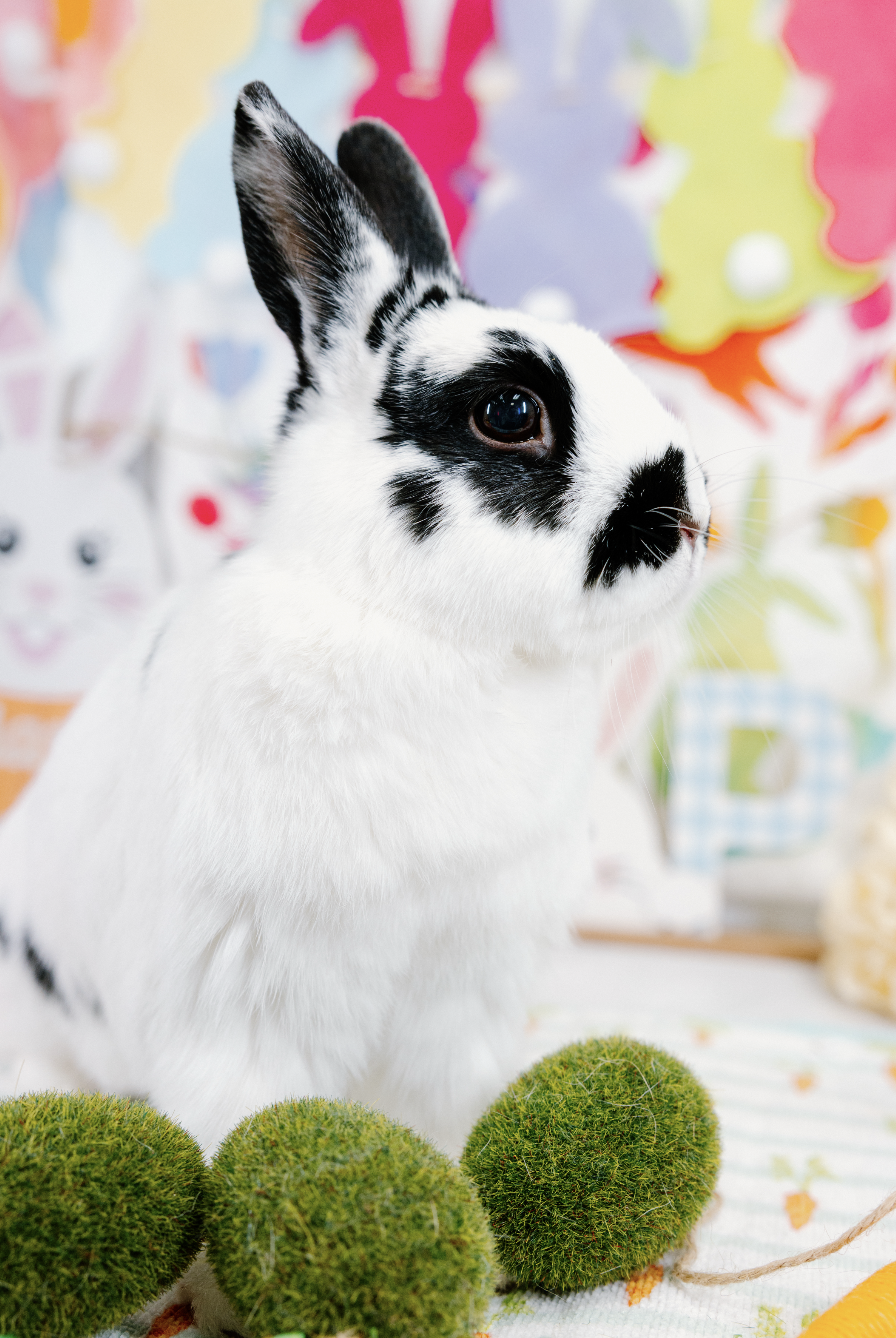 Screenshot 2026-01-10 at 8.00.28 PM.png