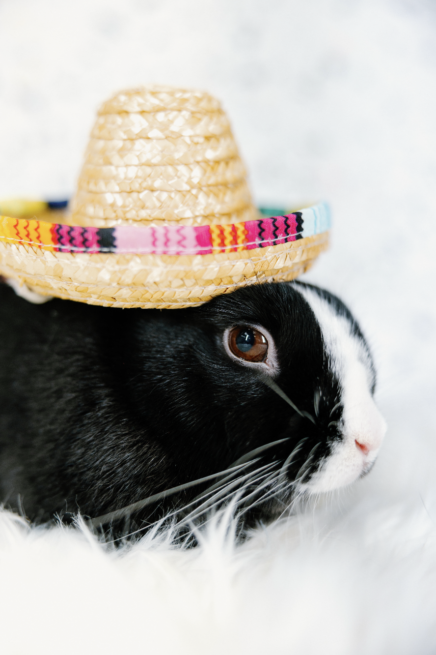 Screenshot 2026-01-10 at 8.00.49 PM.png