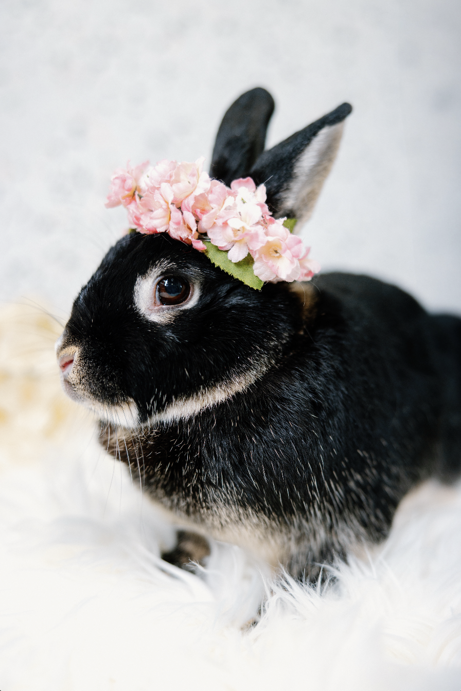 Screenshot 2026-01-10 at 8.00.33 PM.png