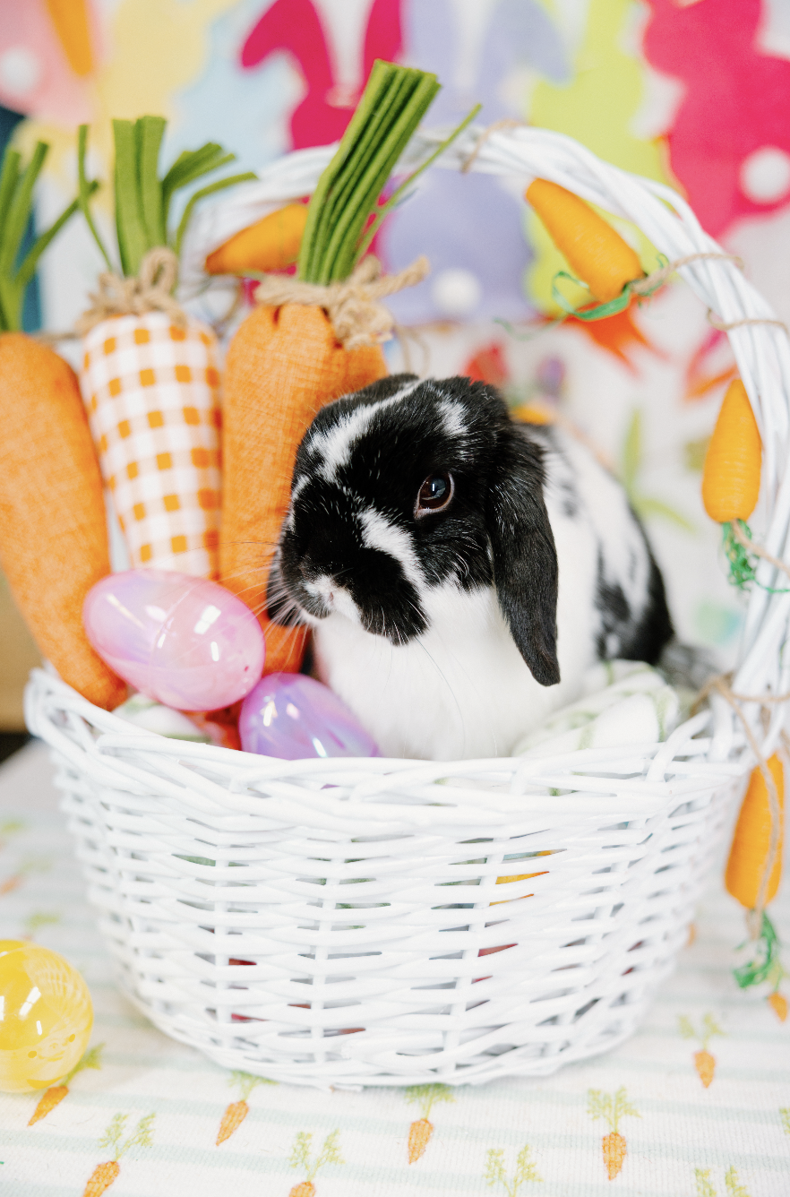 Screenshot 2026-01-10 at 8.01.31 PM.png