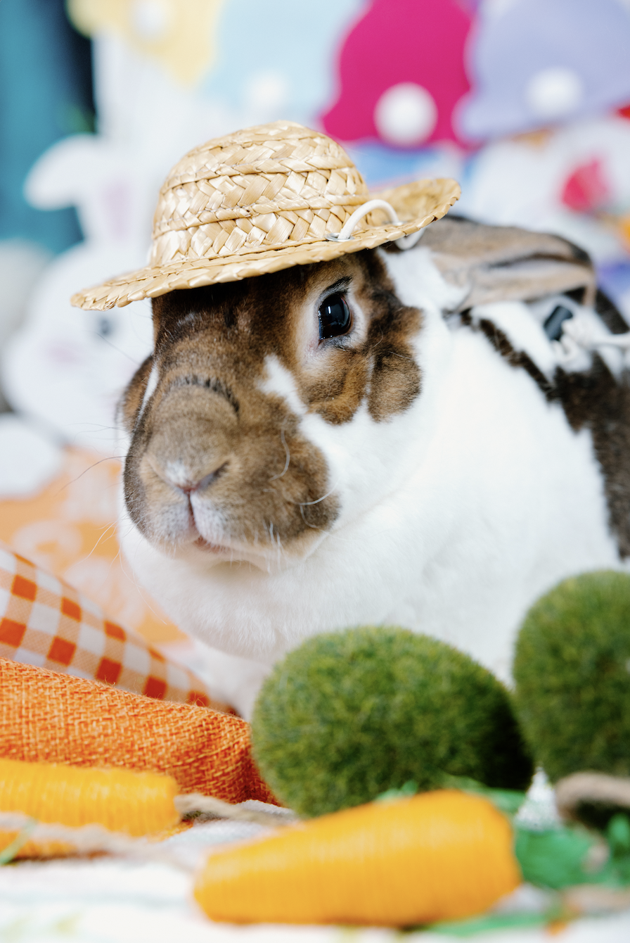 Screenshot 2026-01-10 at 8.00.22 PM.png