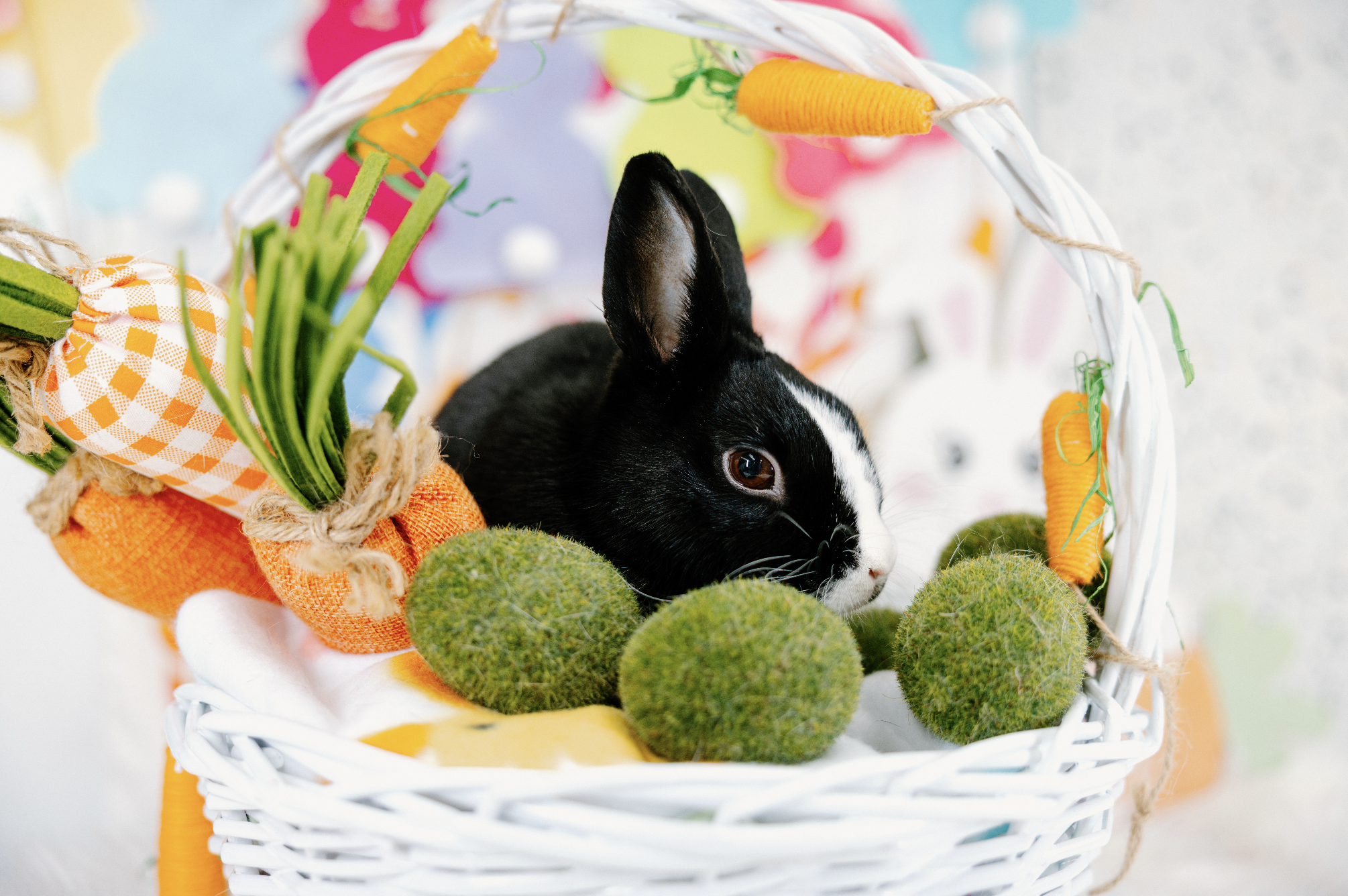 Screenshot 2026-01-10 at 8.01.39 PM.png