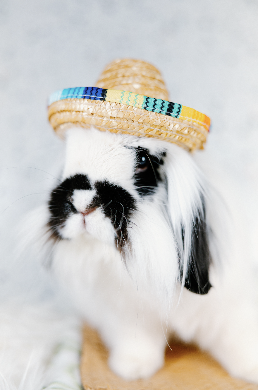 Screenshot 2026-01-10 at 8.00.41 PM.png