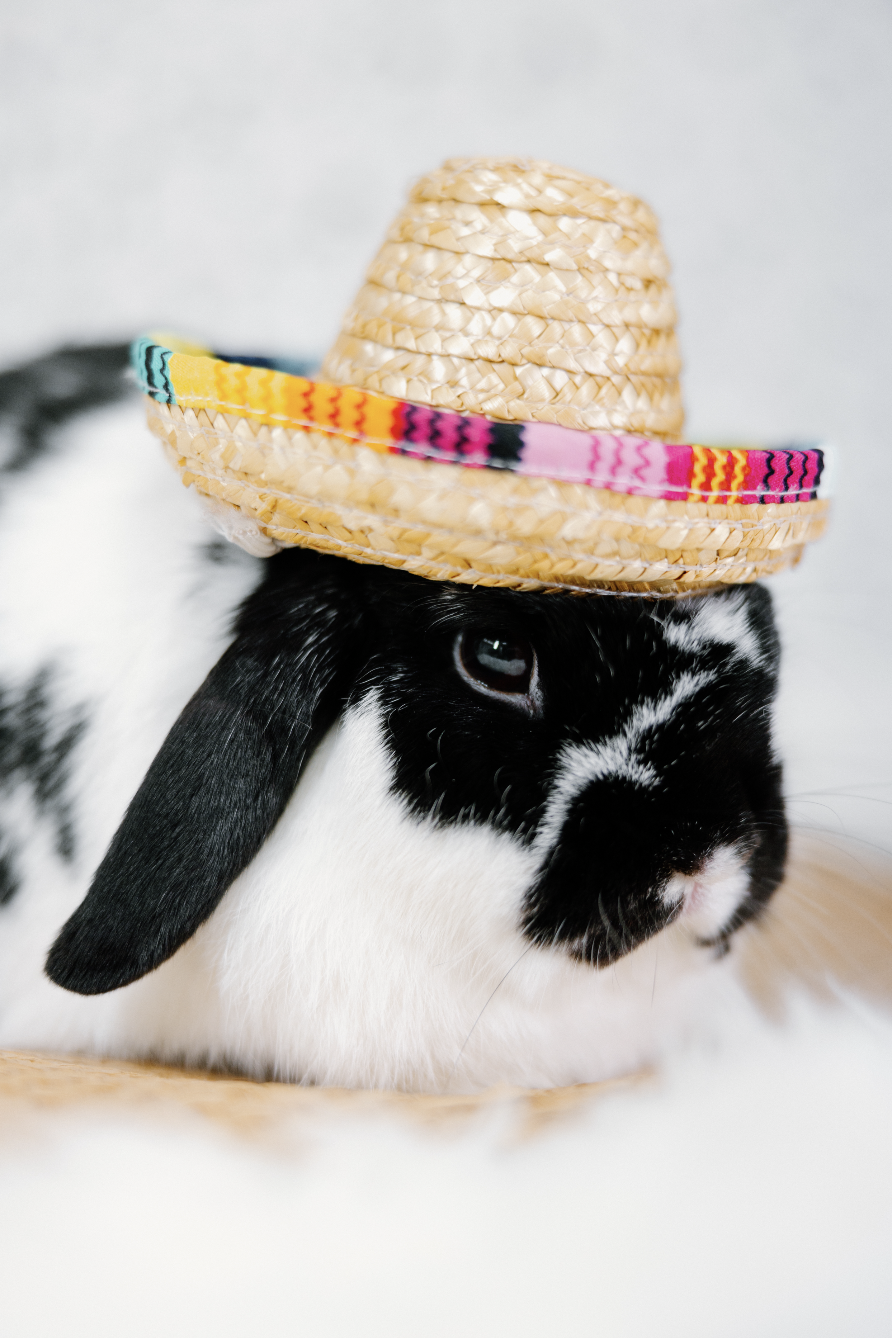 Screenshot 2026-01-10 at 8.01.15 PM.png