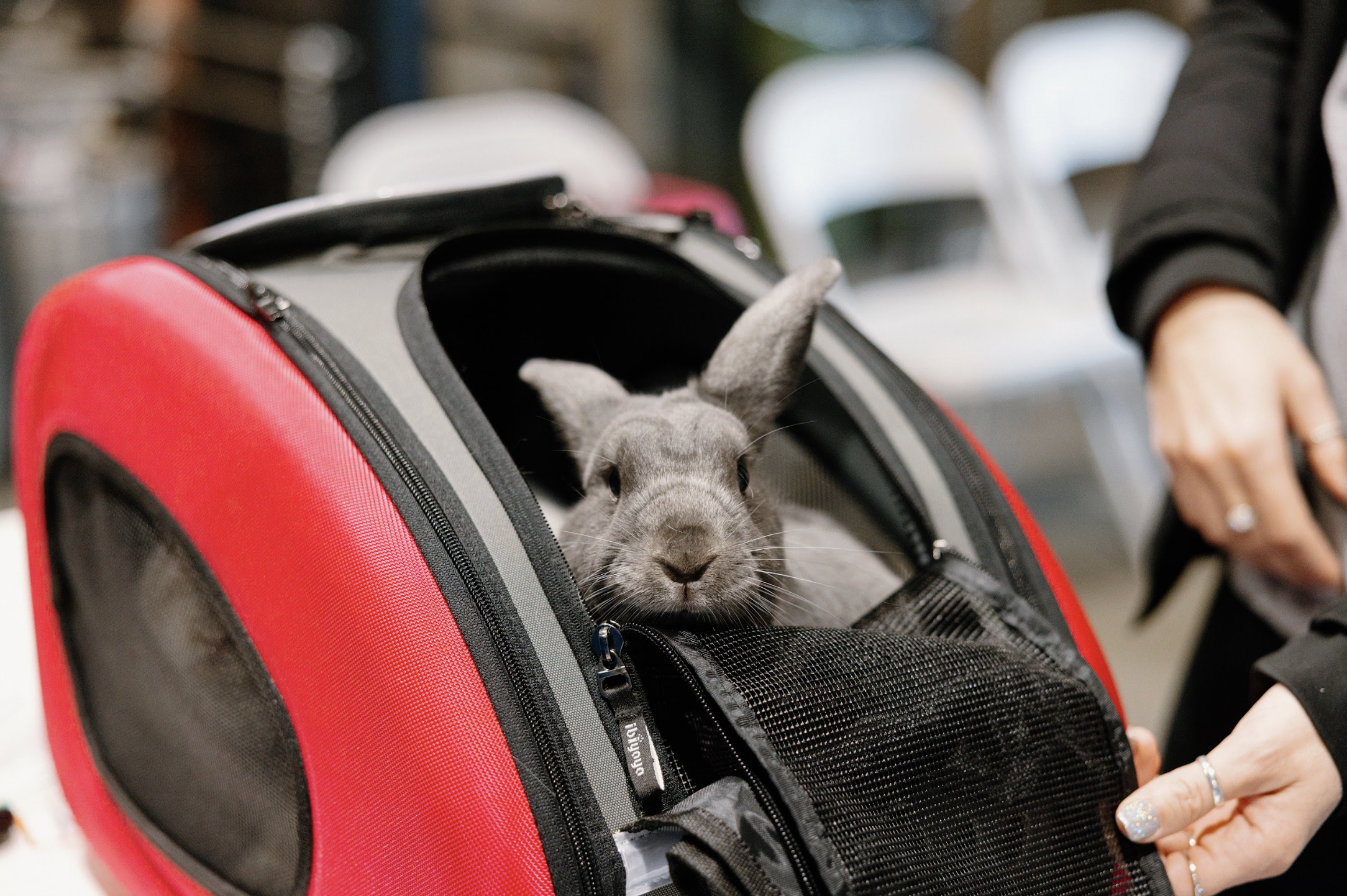 Screenshot 2026-01-25 at 11.16.43 PM.png