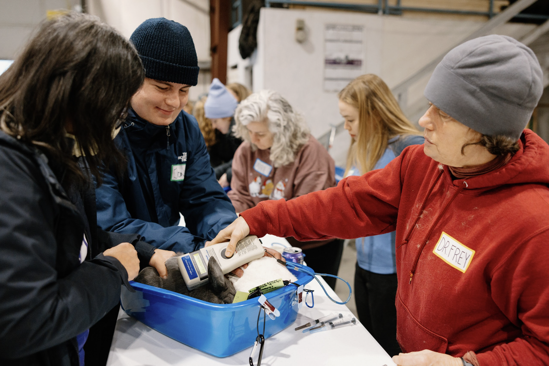 Screenshot 2026-01-25 at 11.36.35 PM.png