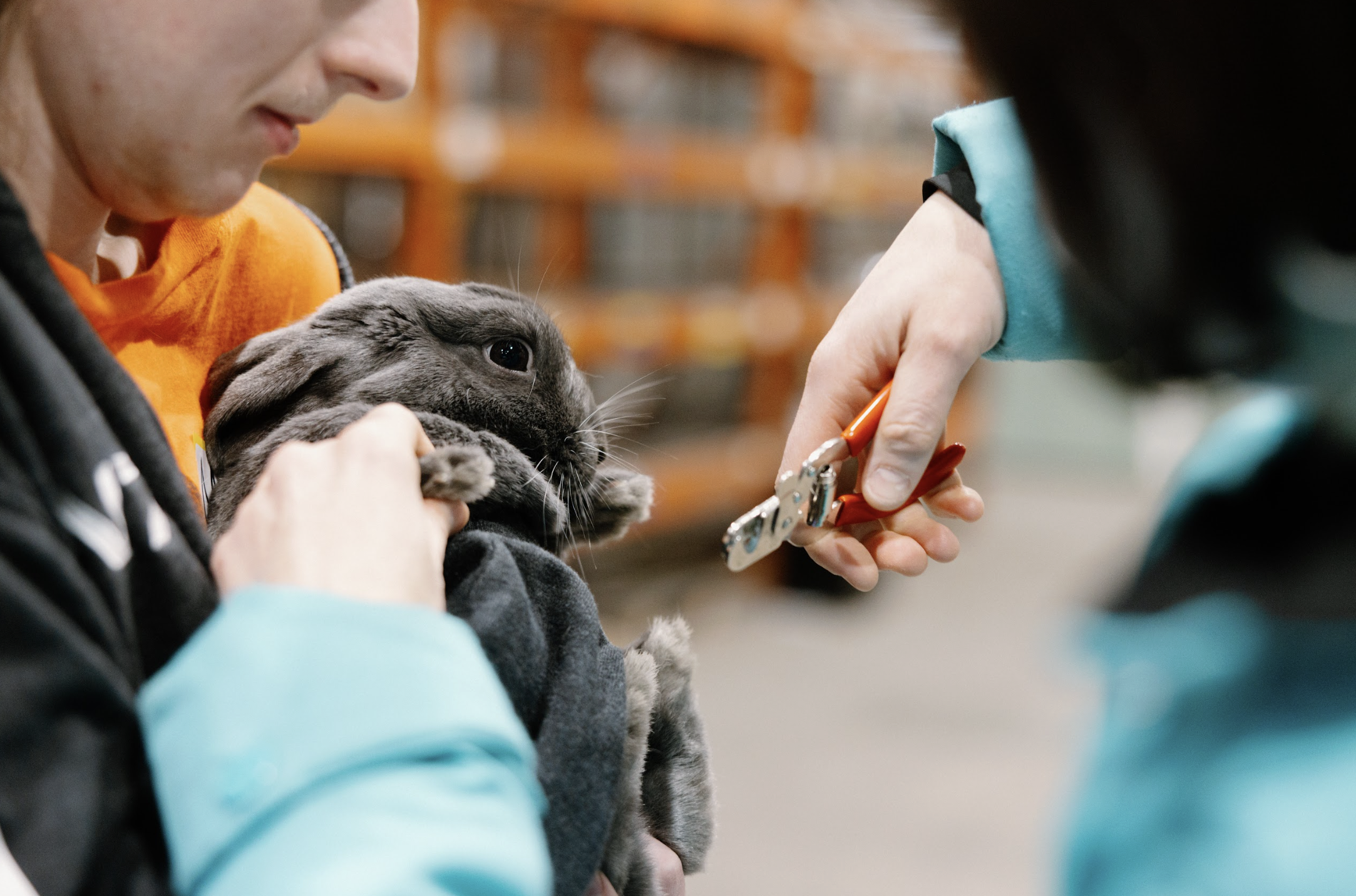 Screenshot 2026-01-25 at 11.36.45 PM.png