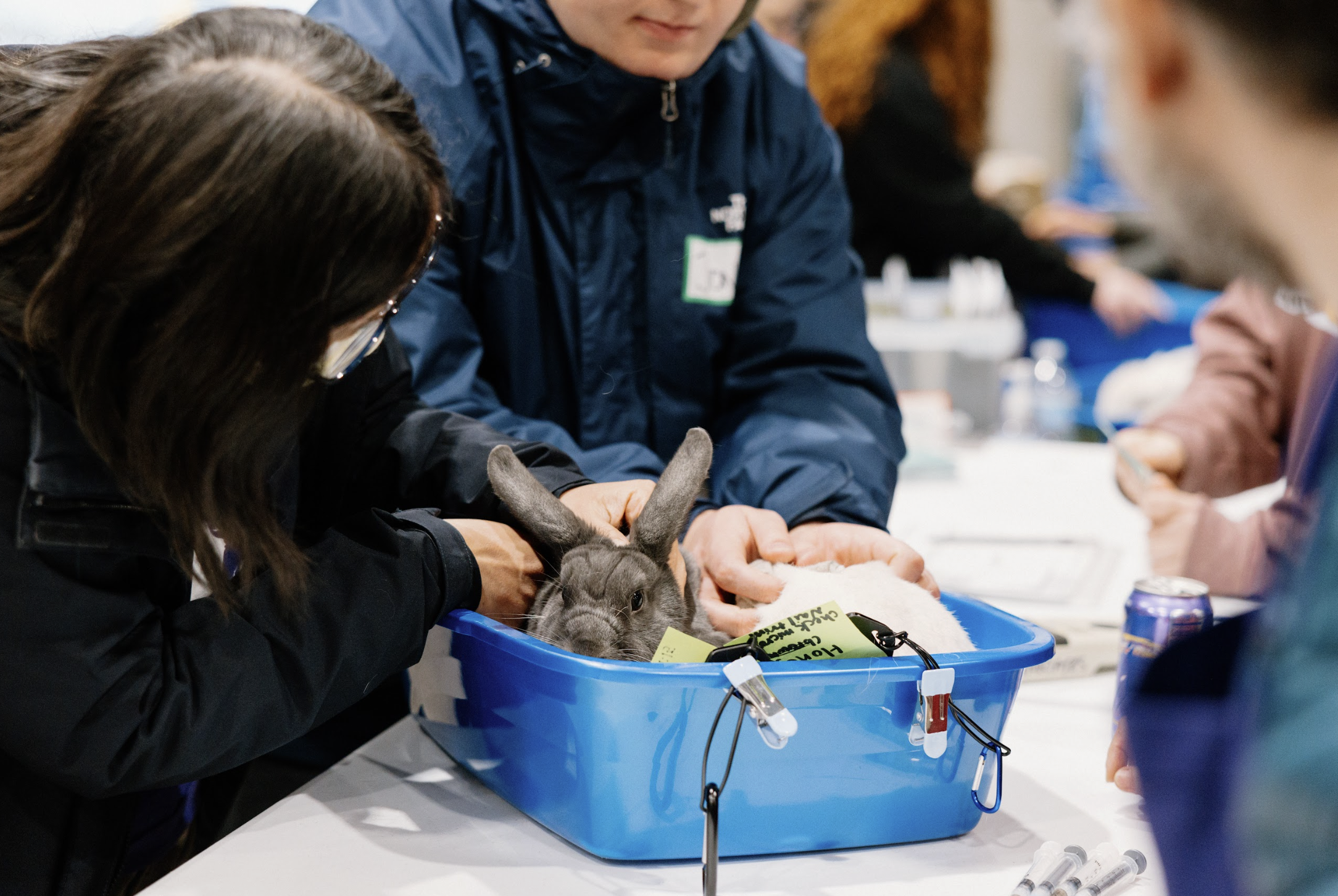 Screenshot 2026-01-25 at 11.36.51 PM.png