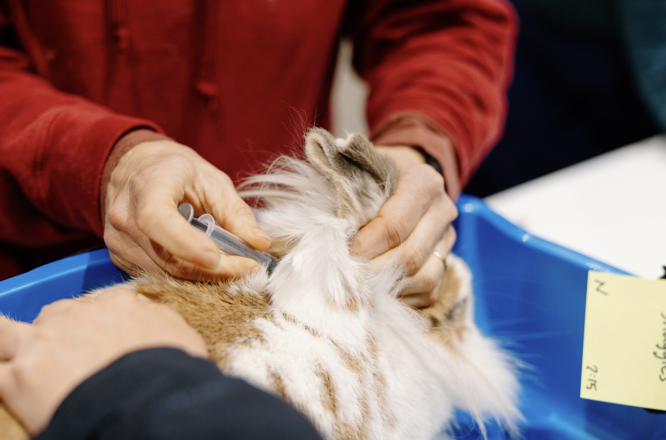 Screenshot 2026-01-25 at 11.39.05 PM.png