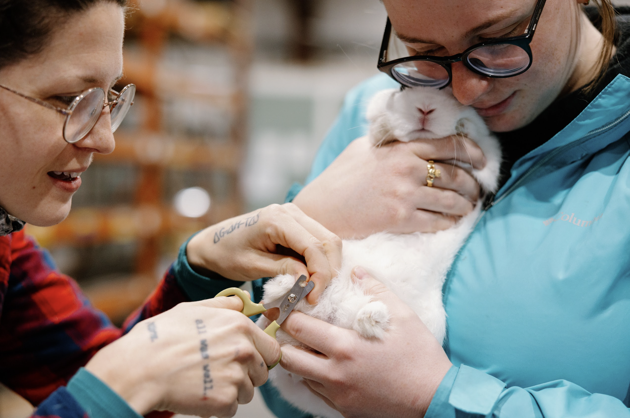 Screenshot 2026-01-25 at 11.40.44 PM.png