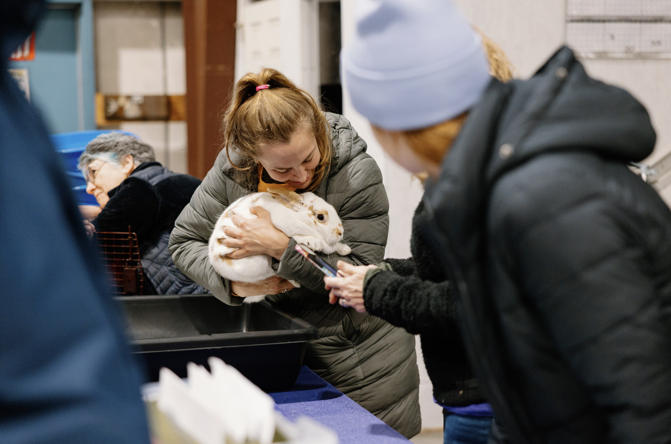 Screenshot 2026-01-25 at 11.41.24 PM.png