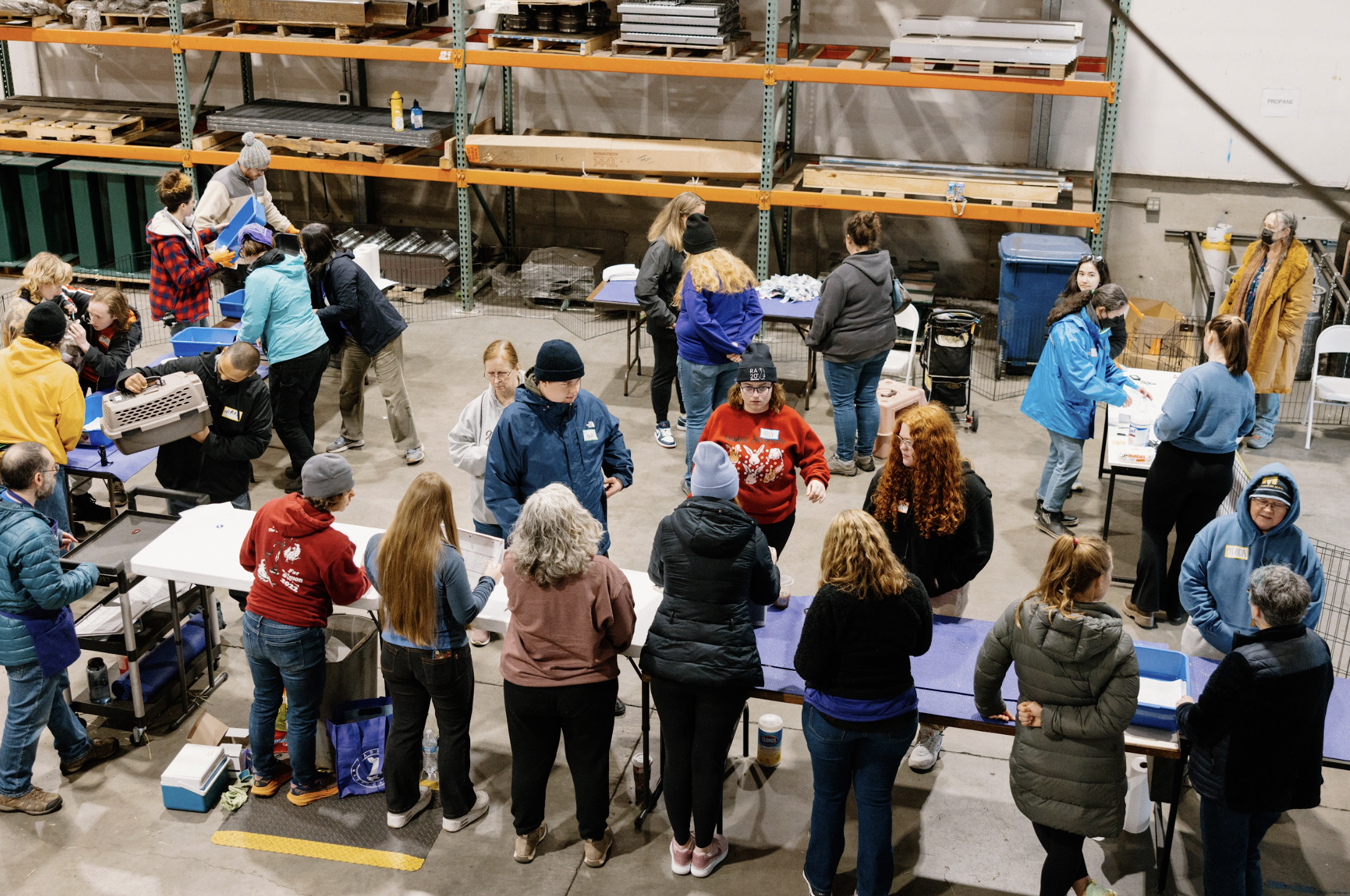 Screenshot 2026-01-25 at 11.41.52 PM.png